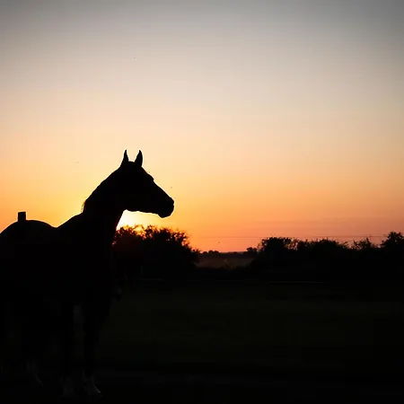 ベッド・アンド・ブレックファスト Domaine De La Briouse 3*