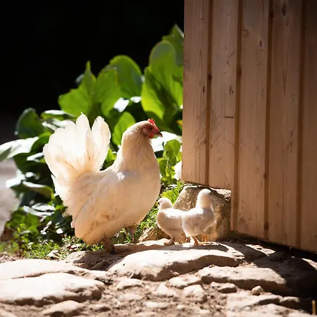 ベッド・アンド・ブレックファスト Domaine De La Briouse 3*