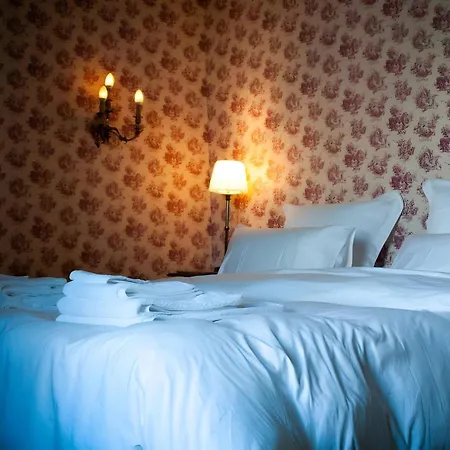Domaine De La Briouse Bed & Breakfast Sanxay