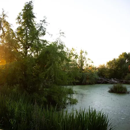 Domaine De La Briouse Sanxay