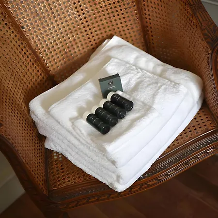 Bed & Breakfast Domaine De La Briouse Sanxay